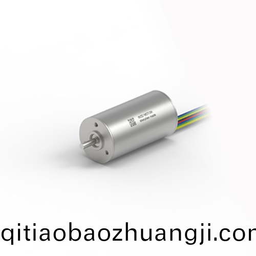 OT-ECS 2446無槽無(wu)刷(shua)直(zhi)流電(dian)機