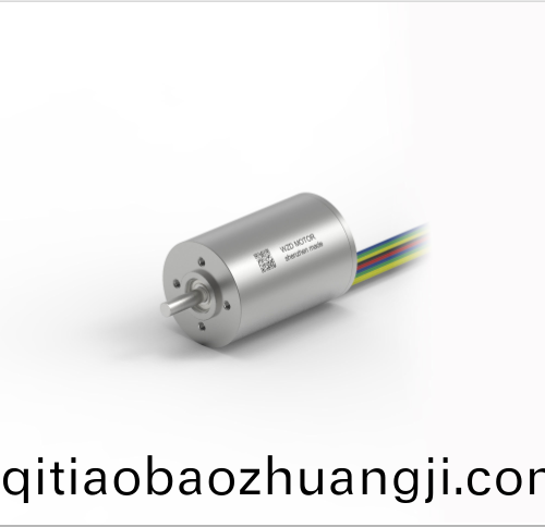 OT-ECS 2232無(wu)槽(cao)無(wu)刷直流電(dian)機