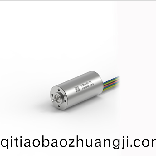 OT-ECS 2040無(wu)槽(cao)無(wu)刷直流電(dian)機