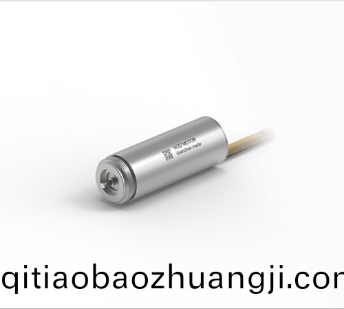 OT-ECS 1334無槽(cao)無刷直(zhi)流電(dian)機