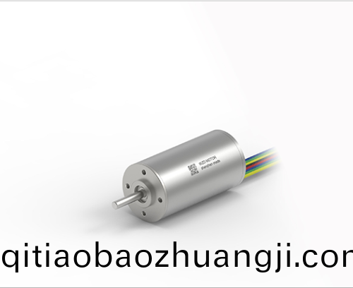 OT-ECS 3056無槽無(wu)刷直流(liu)電機