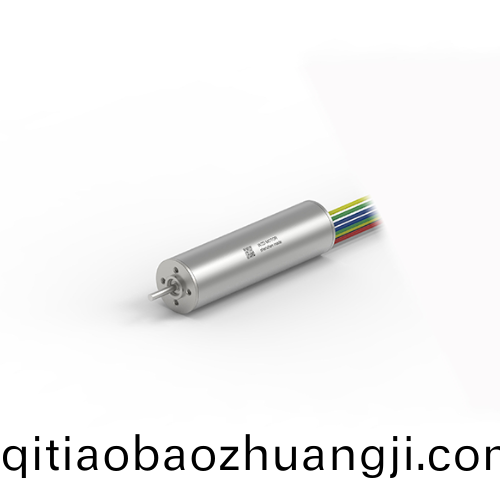 OT-ECS1656無槽(cao)無(wu)刷(shua)電機