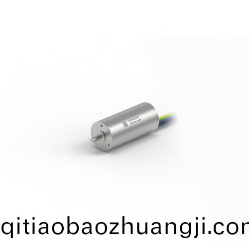 OT-ECS2248無(wu)槽(cao)無(wu)刷電機(jī)(ji)