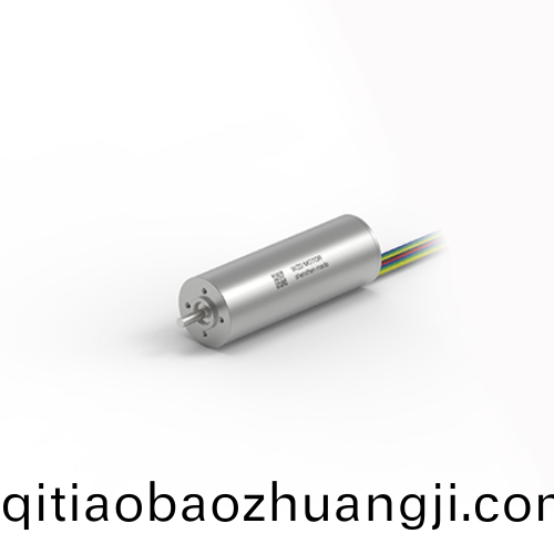 OT-ECS2263無(wu)槽無(wu)刷電機(jī)(ji)