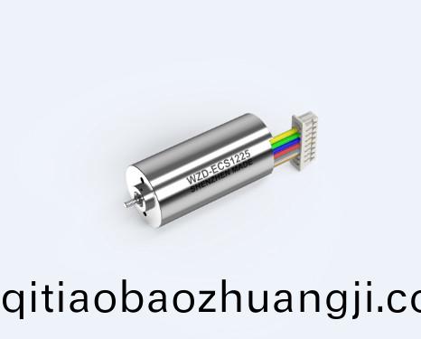 WZD-ECS1225A靈(ling)巧(qiao)手(shou)電(dian)機(ji)